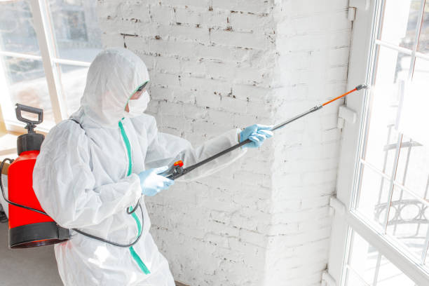 Mold Remediation for Rental Properties in Mound City, MO